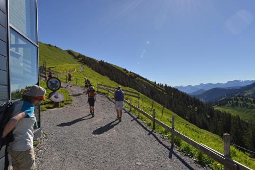 a group of people walking down a mountain road at Berghüs Schratt - EINFACH ANDERS - Ihr vegetarisches und veganes Biohotel in Oberstaufen