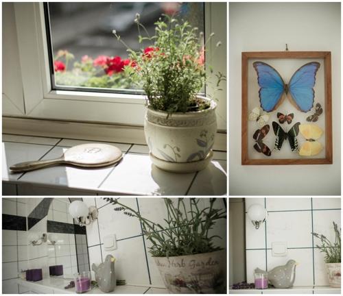 a collage of pictures of a vase with a plant and a window at Przyjazne mieszkanie na Starym Miescie in Gniezno