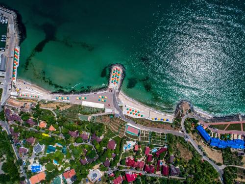 an aerial view of a beach and the ocean at Sovinyon Resort in Odesa