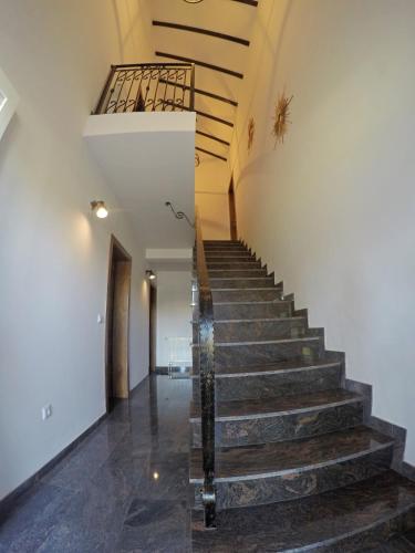 a staircase in a house with wooden floors and ceilings at Black Queen Guesthouse in Grabovac