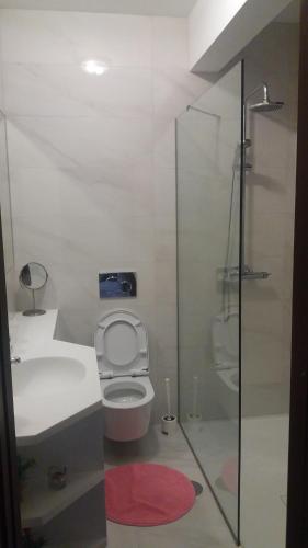 a bathroom with a toilet and a sink and a shower at Blue Ocean in Póvoa de Varzim