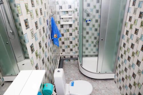 ヤクーツクにあるHostels Rus - Yakutskのバスルーム(シャワー、トイレ、シンク付)