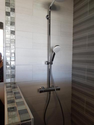 La salle de bains est pourvue d'une douche et d'un sèche-cheveux. dans l'établissement Studio Naturiste 