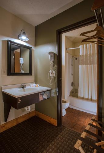 a bathroom with a sink and a toilet at Natura VUE Resort & Boathouse in Wisconsin Dells