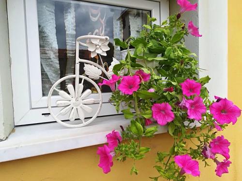 a window with pink flowers on a window sill at Locanda del Golfo in La Spezia