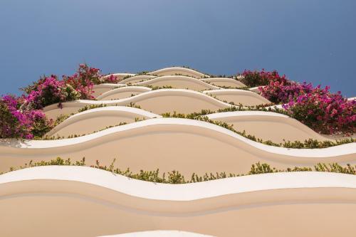 an illustration of a building with pink flowers at Grand Miramar All Luxury Suites & Residences in Puerto Vallarta