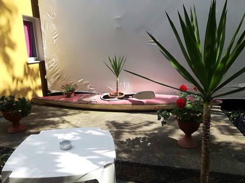 a room with a surfboard and potted plants and a table at Locanda del Golfo in La Spezia