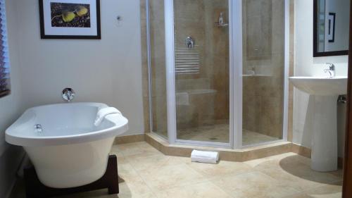 y baño con ducha, aseo y lavamanos. en Honeylocust Guesthouse, en Colesberg