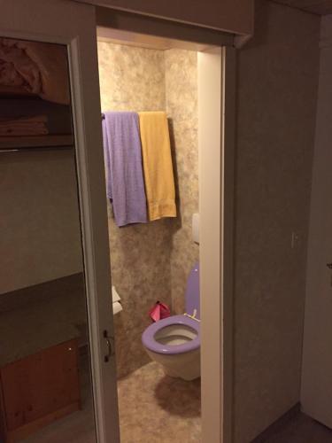 uma casa de banho com WC e toalhas na parede em Rössli Apartment em Alpnachstad