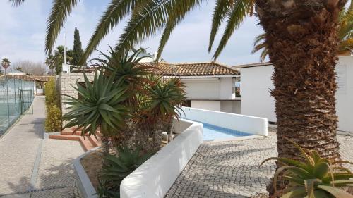 a villa with a pool and palm trees at Cabanas Green Apartment Ria Formosa in Cabanas de Tavira