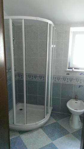 a bathroom with a shower with a toilet and a sink at Apartma Čeh in Gabrovica pri Črnem Kalu