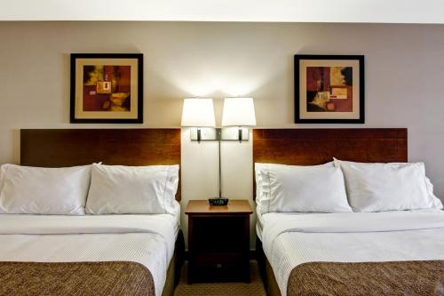 two beds in a hotel room with two lamps at Canalta Oyen in Oyen