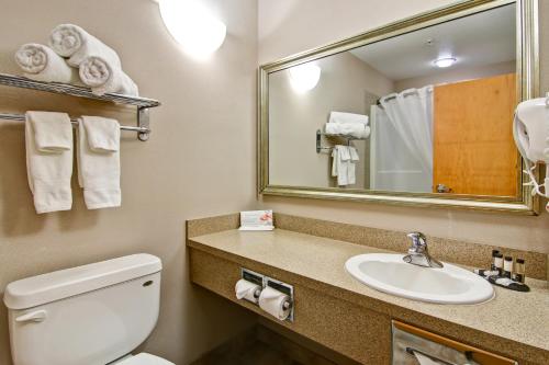 a bathroom with a toilet and a sink and a mirror at Canalta Oyen in Oyen