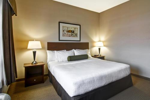 a hotel room with a bed and two lamps at Canalta Oyen in Oyen