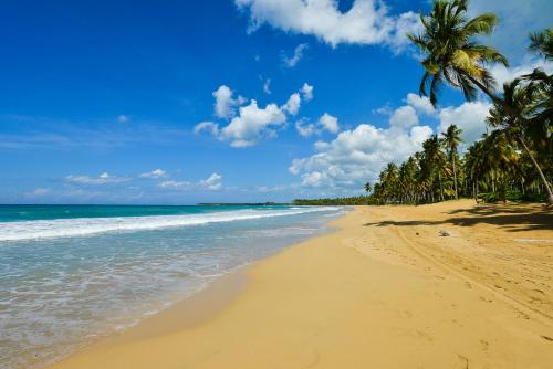 a sandy beach with palm trees and the ocean at Aligio Beachfront Paradise in Las Terrenas