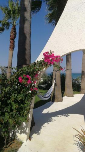 a hammock with pink flowers and palm trees and the ocean at La Casa di Nina in La Maddalena