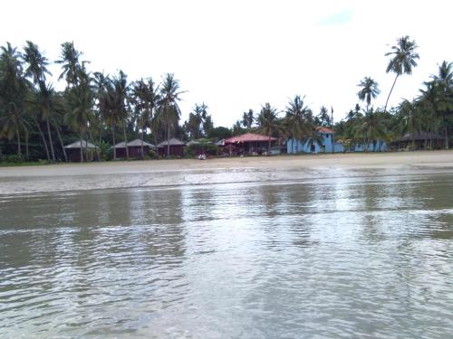a beach with houses and palm trees and the water at Happy Days Resort in Ko Mak