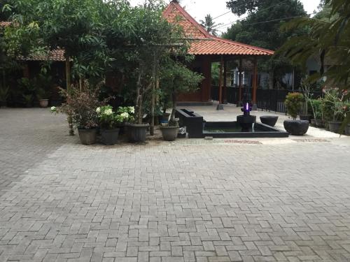 a patio with potted plants in front of a building at Anugrah Borobudur in Borobudur