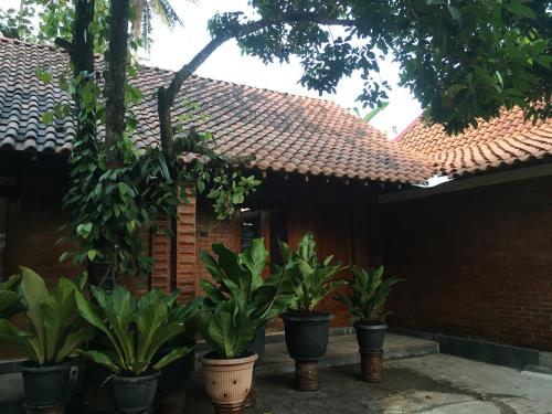 a group of potted plants in front of a house at Anugrah Borobudur in Borobudur