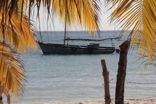 a boat sitting in the water next to a beach at B&B Villa Luna in Bayahibe