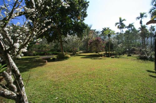 a park with a flowering tree and a bench at 鋐洋民宿 in Lugu