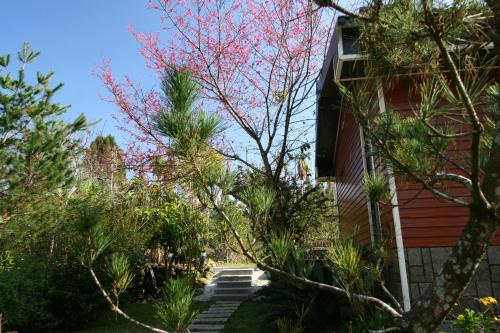 a house with stairs leading up to a house at 鋐洋民宿 in Lugu