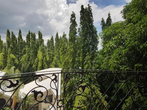 a view of a forest of trees from a balcony at Sophia Suites Residence Hotel in Cebu City