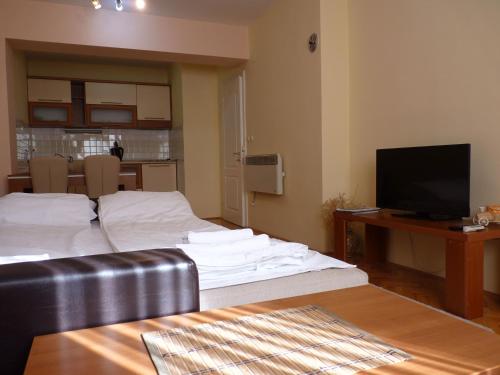 Habitación con cama, escritorio y TV. en Adeona Apartments, en Ohrid