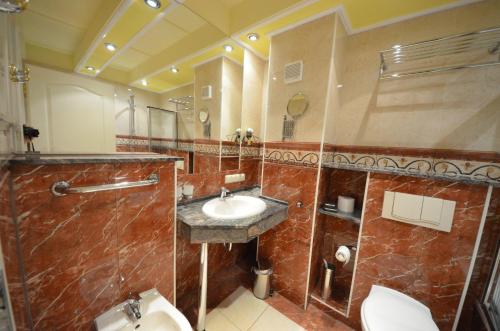 une salle de bains avec lavabo et toilettes dans l'établissement Ferienhaus-Strandflieder-in-Gross-Zicker-Halbinsel-Moenchgut, à Groß Zicker