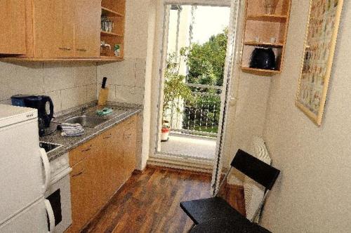 eine Küche mit einem Waschbecken und eine Tür zur Veranda in der Unterkunft 3 Raum Fewo Dresden Altstadt - L7 in Dresden