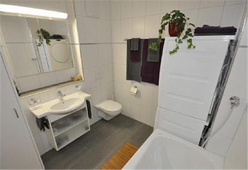 een badkamer met een wastafel, een toilet en een spiegel bij Charming Penthouse in Lauterbrunnen