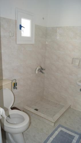 a bathroom with a toilet and a shower at Studios Vagos 1 in Agios Prokopios