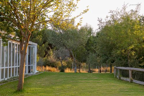 Φωτογραφία από το άλμπουμ του Ardea Purpurea σε Villamanrique de la Condesa