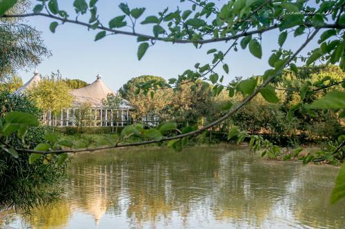 Φωτογραφία από το άλμπουμ του Ardea Purpurea σε Villamanrique de la Condesa