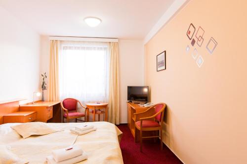 Hotel U Beránka Náchodにあるテレビまたはエンターテインメントセンター