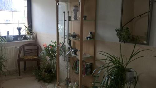 a room with potted plants and a shelf with plants at Pension Dabrunz in Heimbach