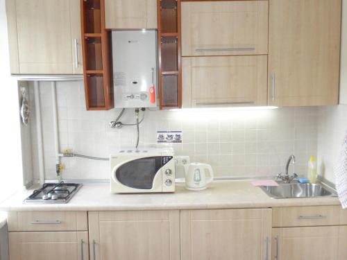 a kitchen with a microwave and a sink at Apartment on Nimanska 5 in Kyiv