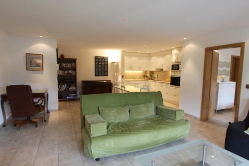 Una sala de estar con un sofá verde y una cocina. en Rosat 25, en Château-d'Oex