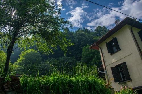 Gallery image of Guest House Verbena in Apriltsi