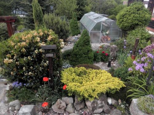 a garden with flowers and a greenhouse at Chalupa Medium in Krásná Lípa