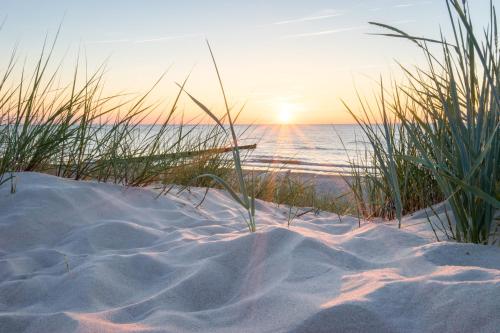 Pura Vida Hotel Cuxhaven photo 22