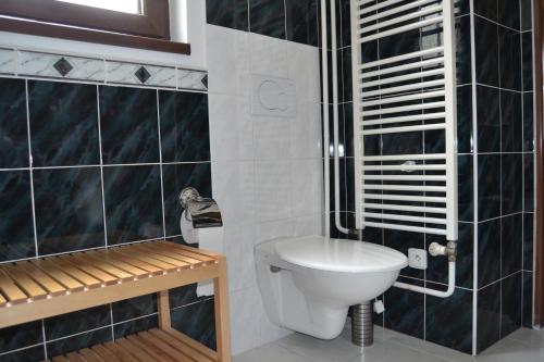 a bathroom with a toilet and a shower at Pension Betty in Tábor