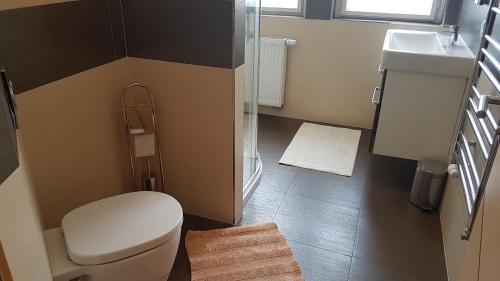 a small bathroom with a toilet and a sink at Villa Serena in Karlovy Vary
