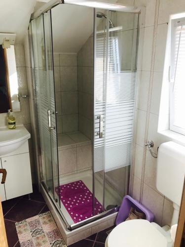 a shower with a glass door in a bathroom at Apartmani Bruna in Tkon