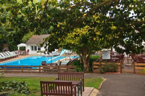 a pool with chairs and a table and a tree at La Collinette Hotel, Cottages & Apartments in St Peter Port