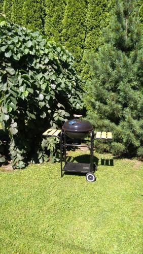 a barbecue grill sitting in the grass in a yard at Willa Elżbieta in Kraków