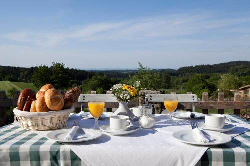 Příroda nedaleko penzionu – hostince