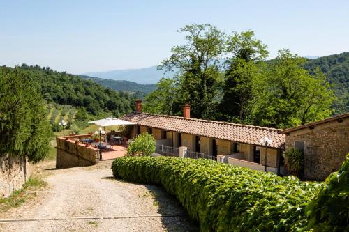 a house with a hedge in front of it at Casa Vacanze Villa il Castellaccio in Lucolena in Chianti