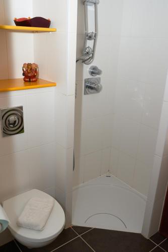 a bathroom with a shower and a toilet at la Palisse in Peaugres