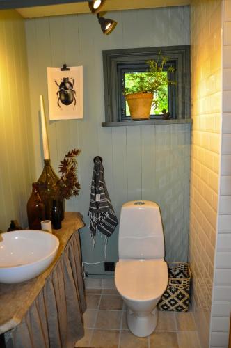 a bathroom with a toilet and a sink at Håkesgård Bed&Garden in Veddige
